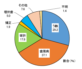 秦野市の歯医者、東海大学前駅徒歩0分の、あめみや歯科医院の8020運動